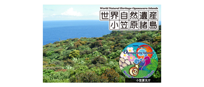 【メインビジュアル】小笠原支庁