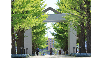 総務局事業の企画、計理等（企画計理課） イメージ