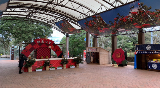 大島 椿プラザ（椿まつり会場）